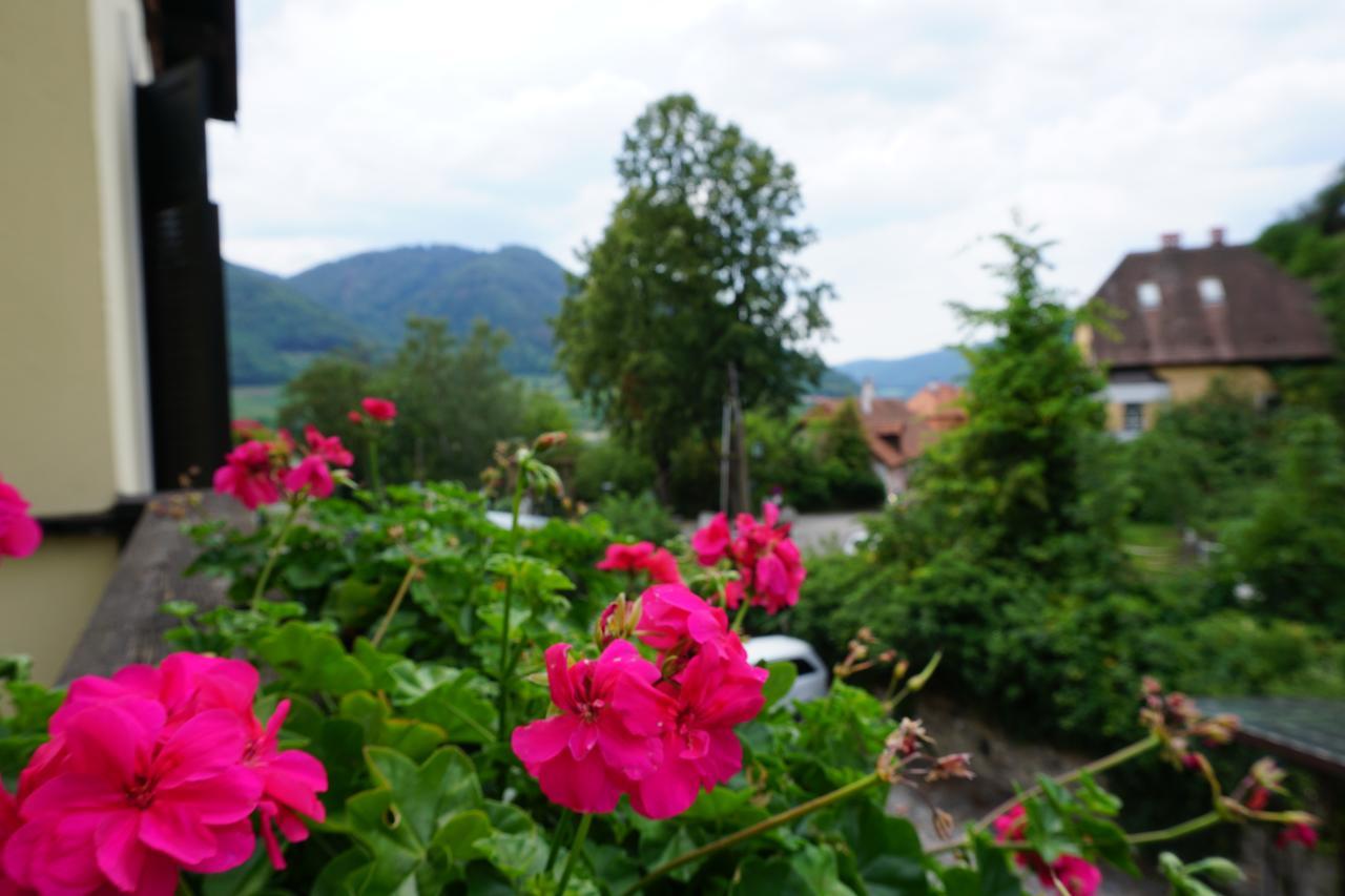 Hotel Mariandl シュピッツ エクステリア 写真